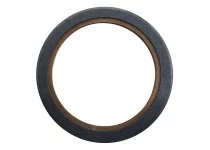 купить Сальник 160х190х13 650 коленвала задняя